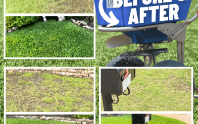 Lawn Care: Before and After
