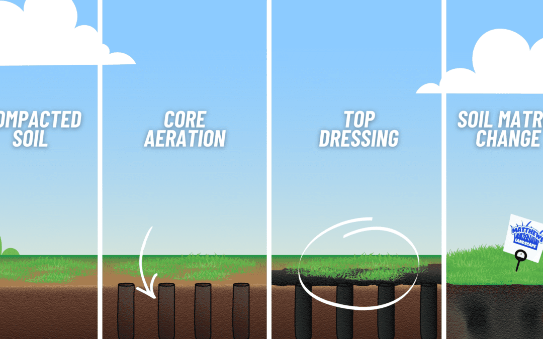 Upgrade Your Yard: Core Aeration and Topdressing