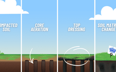 Upgrade Your Yard: Core Aeration and Topdressing