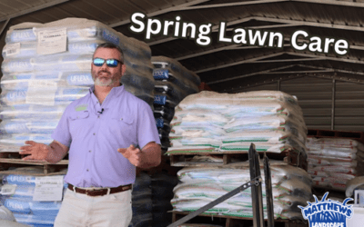 Spring Fertilizer