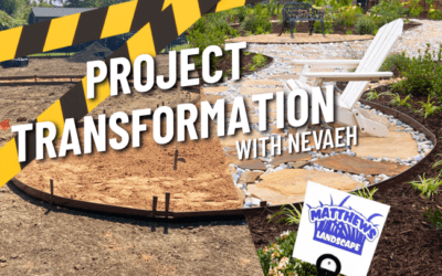 Complete Backyard Transformation