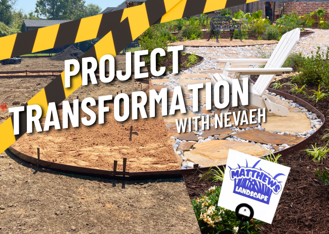 Complete Backyard Transformation