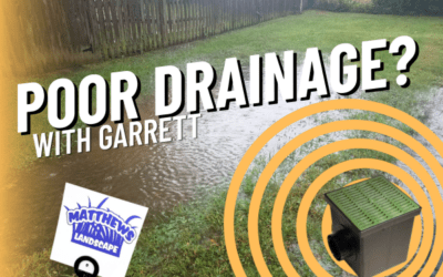 Standing Water in Your Lawn?