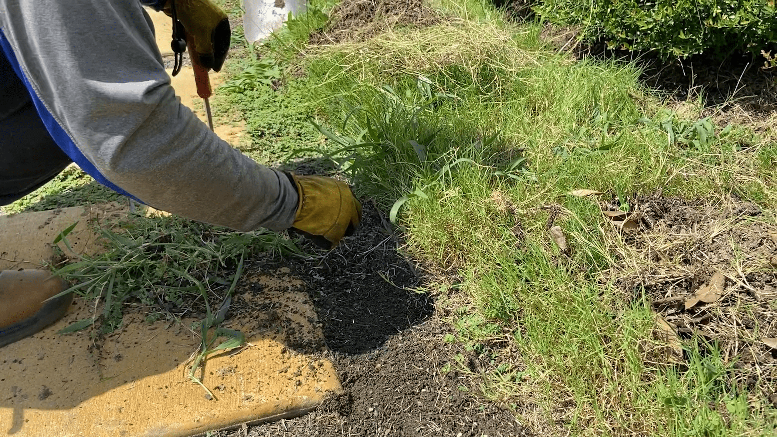 Up close photo of a gloved hand weeding a flower bed