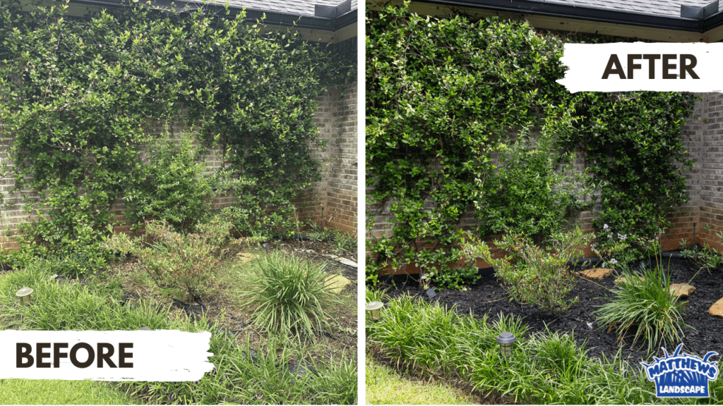 Before and after photograph of a completed landscape job