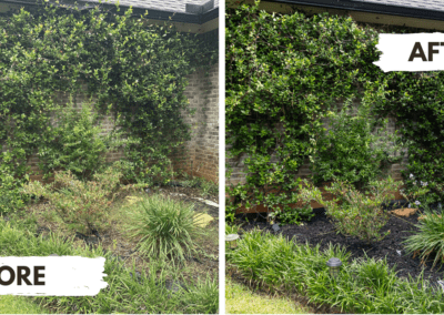 Before and after photograph of a completed landscape job