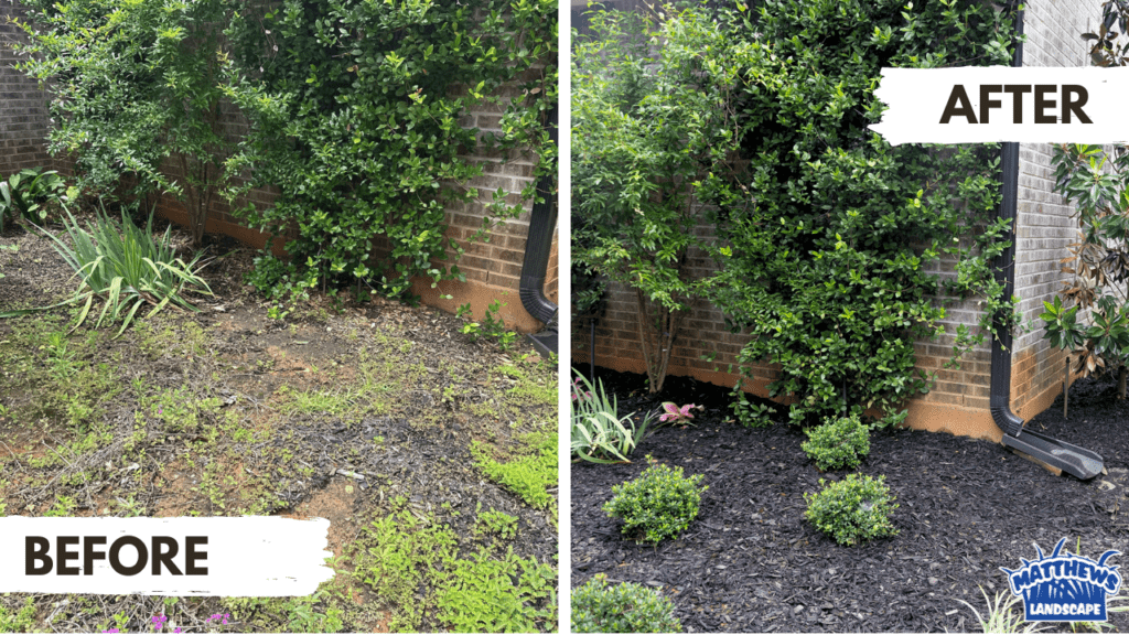 Before and after photograph of a completed landscape job
