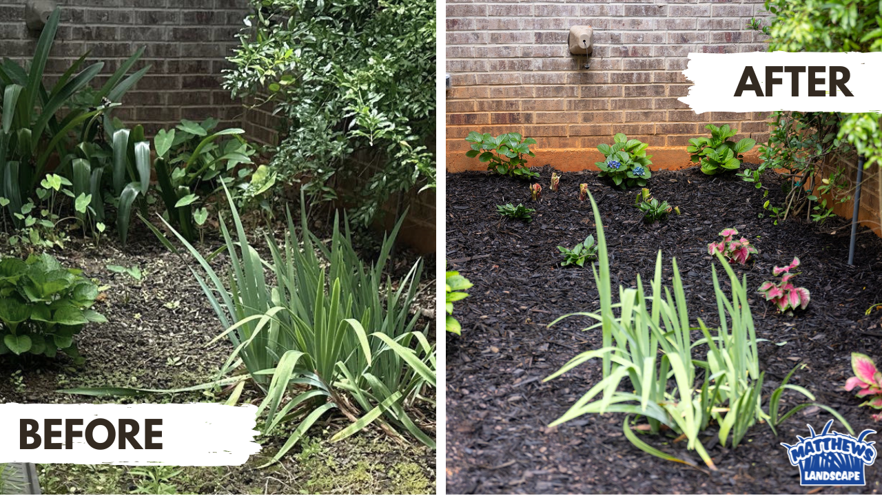 Before and after photograph of a completed landscape job