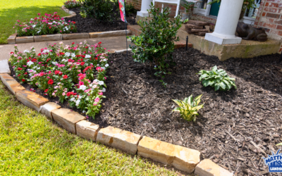 Landscape Transformation in Shreveport, LA