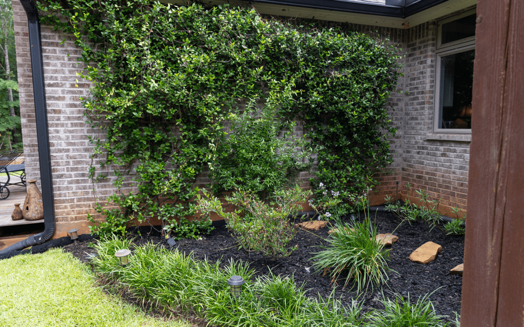 Front & Backyard Landscape Transformation in Northwest, Louisiana