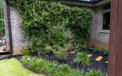 Front & Backyard Landscape Transformation in Northwest, Louisiana