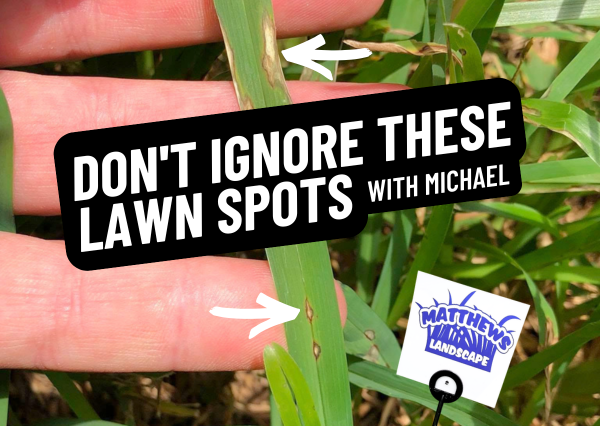 Don’t Ignore These Lawn Spots