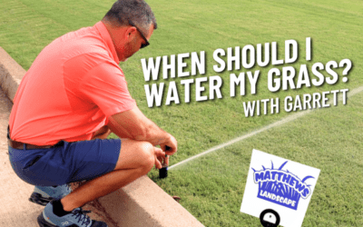 When Should I Water My Grass?