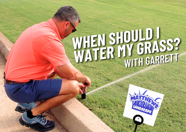 When Should I Water My Grass?