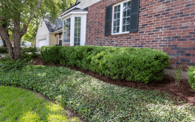Full Landscape Cleanup | Shreveport, LA