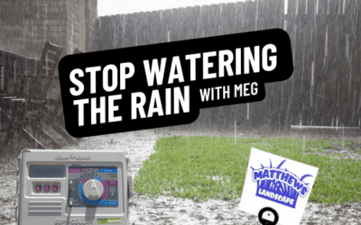 Stop Watering in the Rain