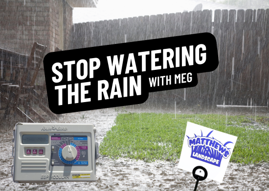 Stop Watering in the Rain