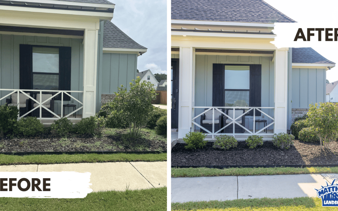 Simple Landscape Cleanup in Stonewall, LA