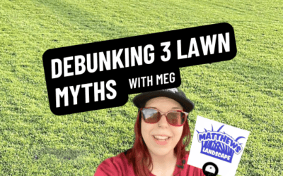 Debunking 3 Lawn Watering Myths