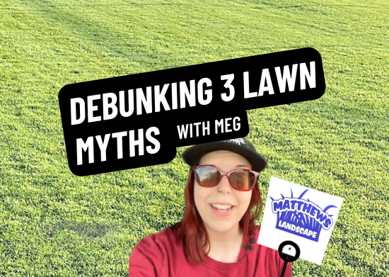Debunking 3 Lawn Watering Myths