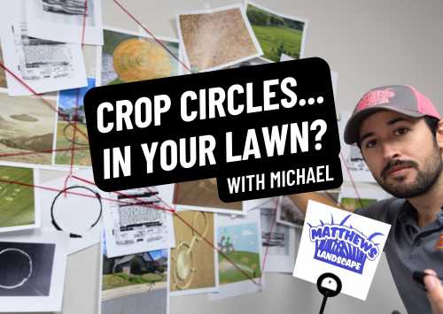 Crop Circles in Your LAWN?
