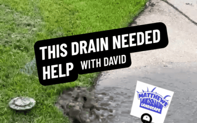 This Drain Needed Help
