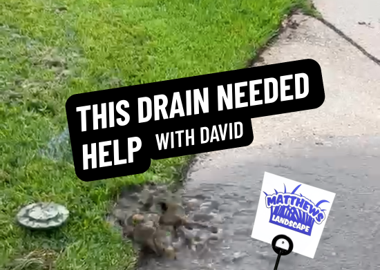 This Drain Needed Help