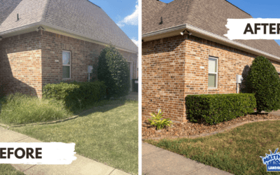 Fall Landscape Cleanup in Stonewall