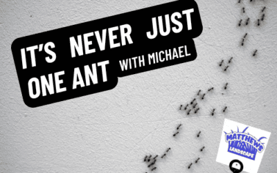 It’s Never Just One Ant