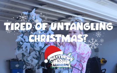 Tired of Untangling Christmas Every Year?