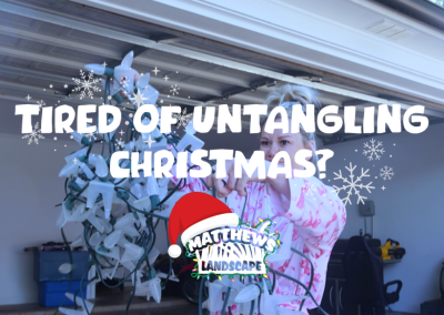 Tired of Untangling Christmas Every Year?