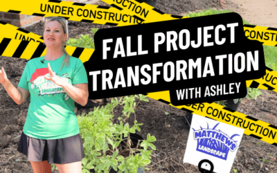Fall Transformation Project