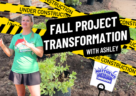Fall Transformation Project