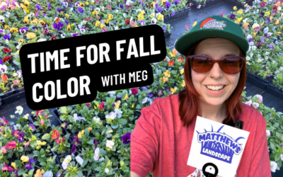 Time for Fall Color