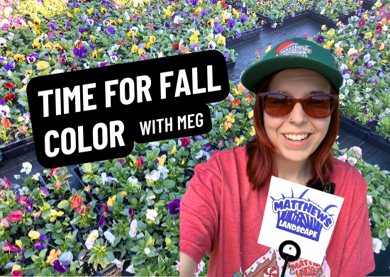 Time for Fall Color
