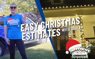 Easy Christmas Lights