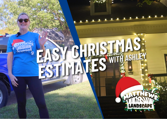 Easy Christmas Lights