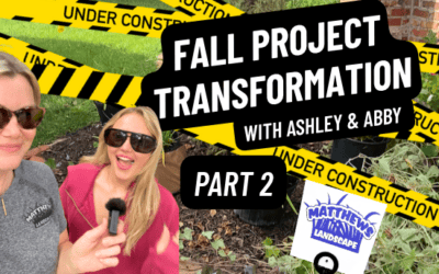 Fall Project Transformation Pt 2