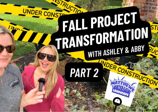 Fall Project Transformation Pt 2