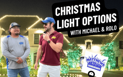 Christmas Light Options