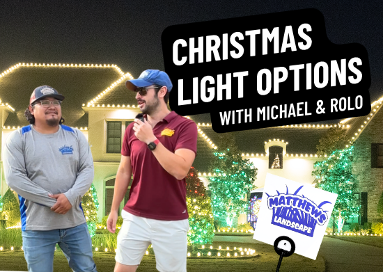 Christmas Light Options